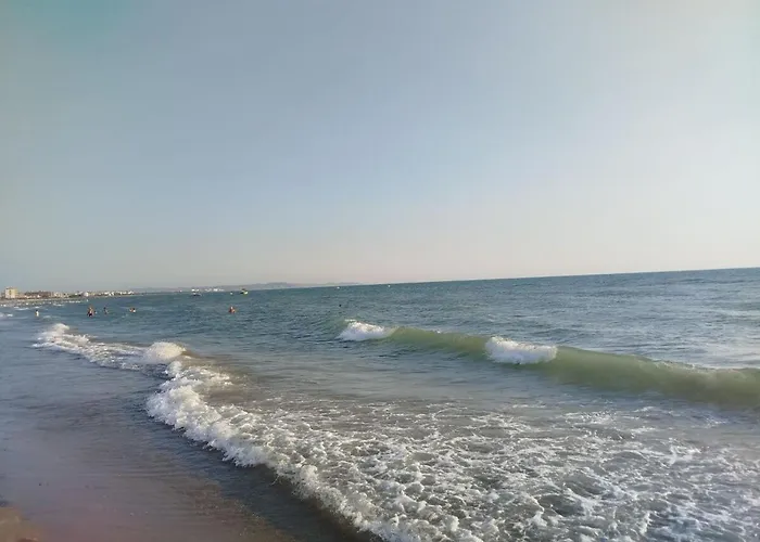 Sea View On The Coast